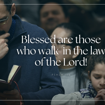 Mass Intensions - March 2026